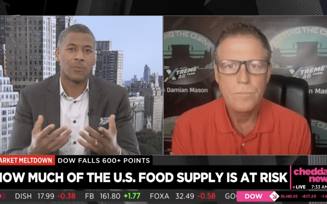 How the Climate Crisis is Causing Food Shortages Globally